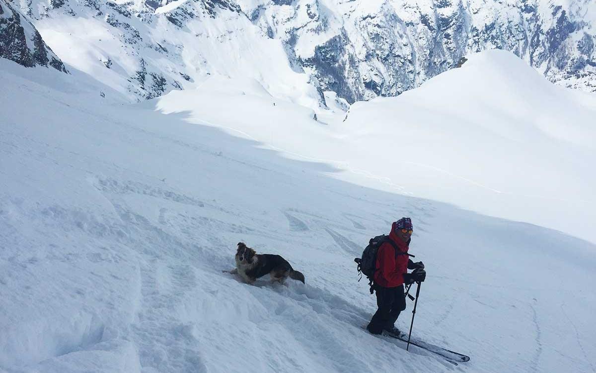 Scialpinista con cane su una montagna innevata, circondati da paesaggi alpini mozzafiato.