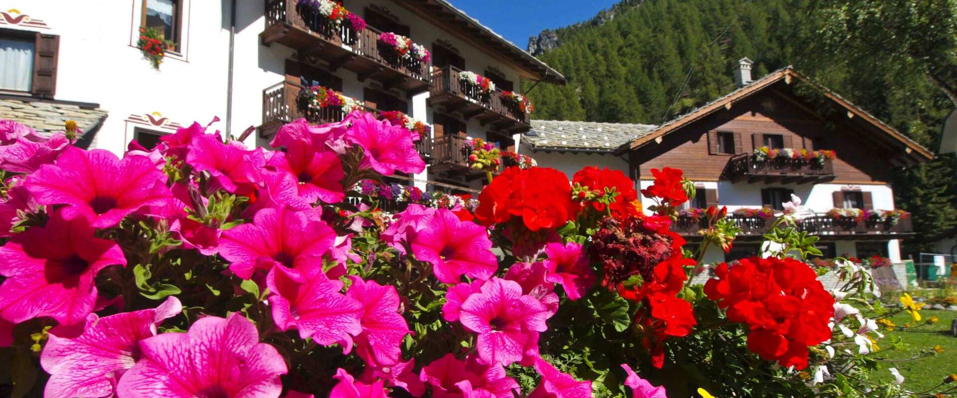 Case di montagna con balconi fioriti e vivaci petunie in primo piano.