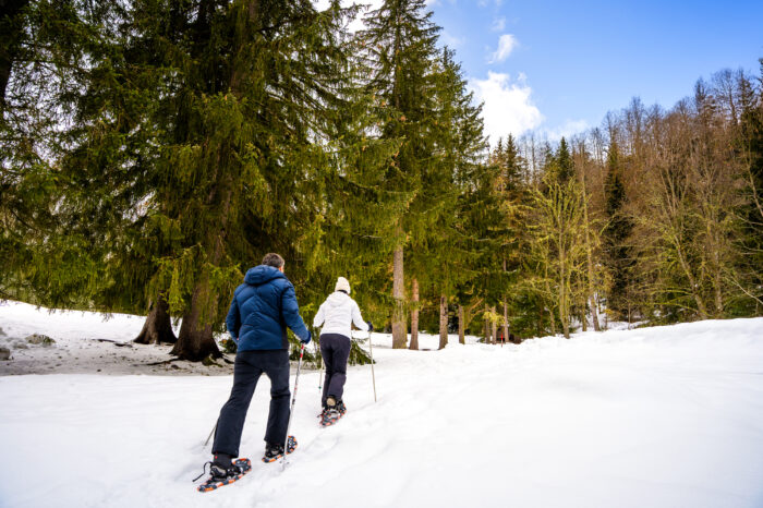 Immodrone_Romantic Jolanda Hotel Gressoney_026 copia